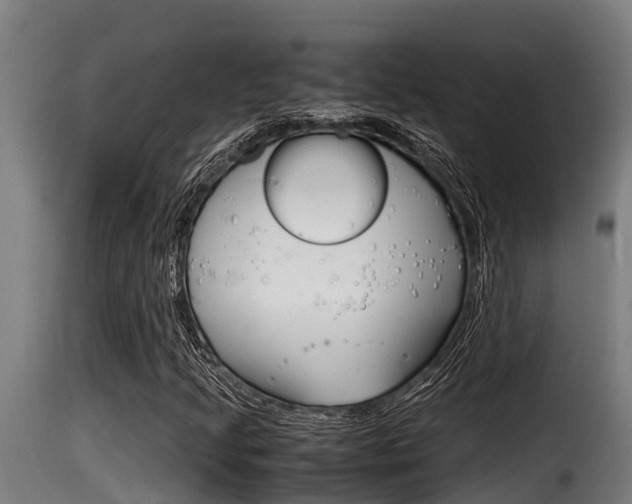 X0000116101205200911230924