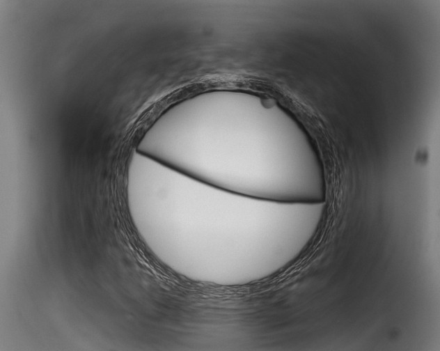 X0000116101206200911230924