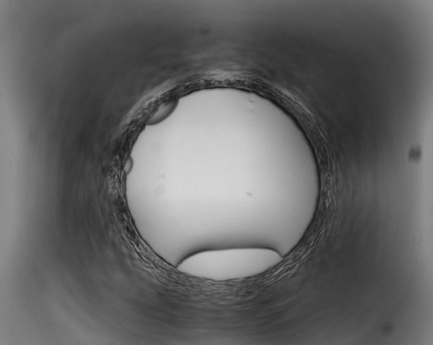 X0000116101207200911230924