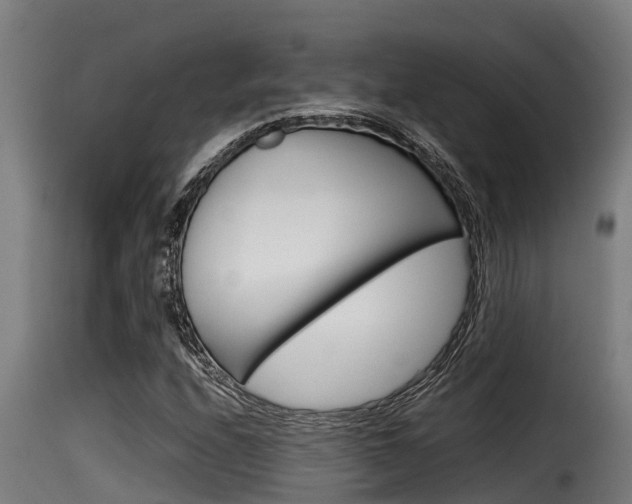 X0000116101208200911230924