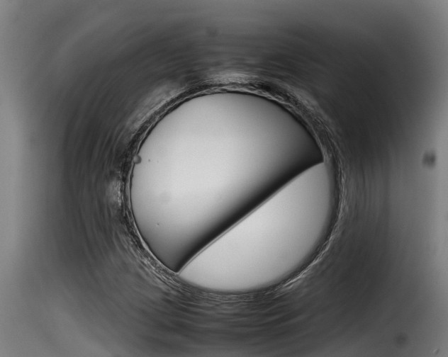 X0000116101209200911230924