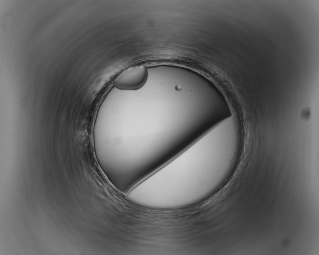 X0000116101210200911230924