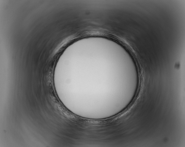 X0000116101211200911230924