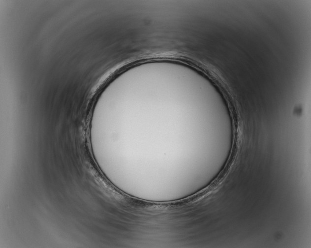 X0000116101212200911230924