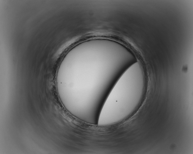 X0000116101213200911230924