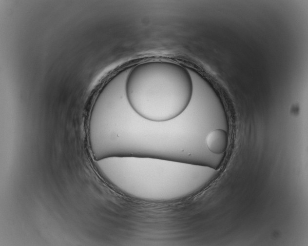 X0000116101214200911230924