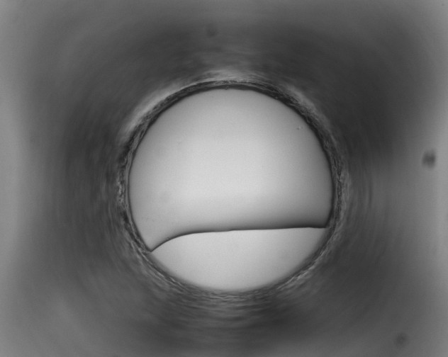 X0000116101215200911230924