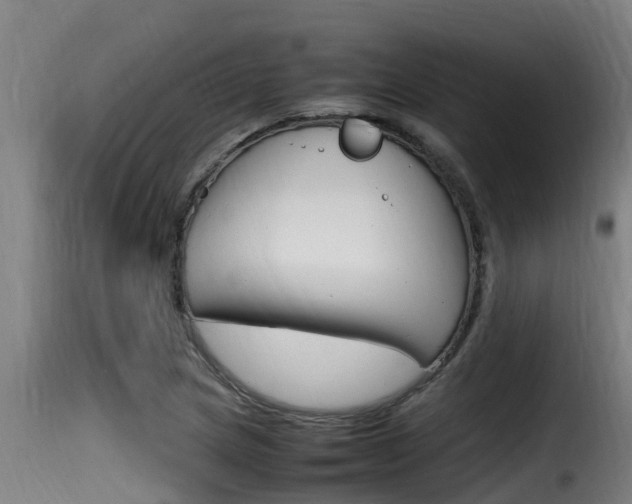 X0000116101217200911230924