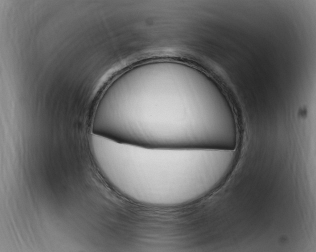 X0000116101218200911230924