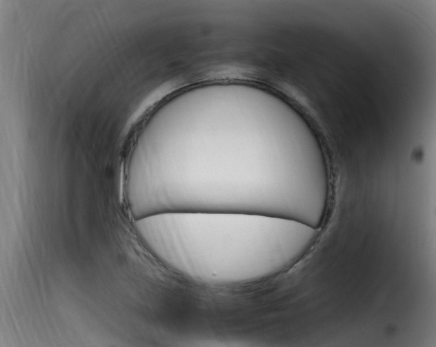 X0000116101219200911230924
