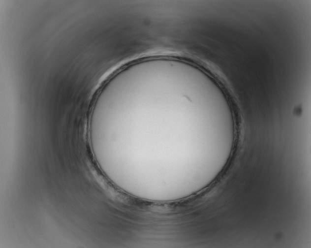 X0000116101220200911230924