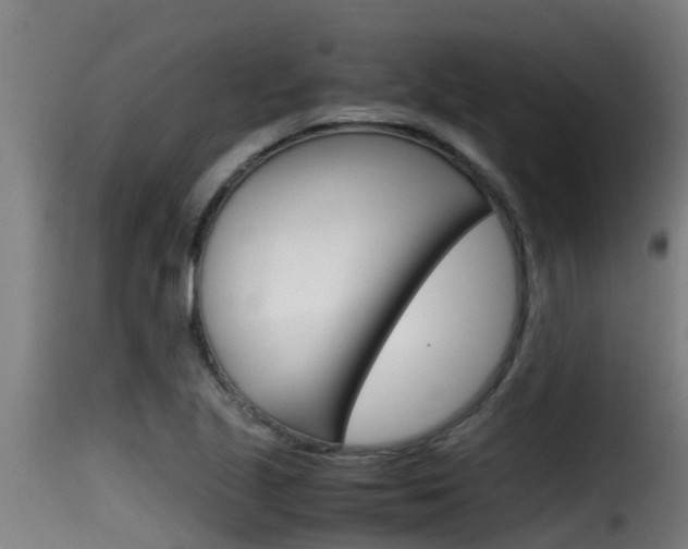 X0000116101221200911230924