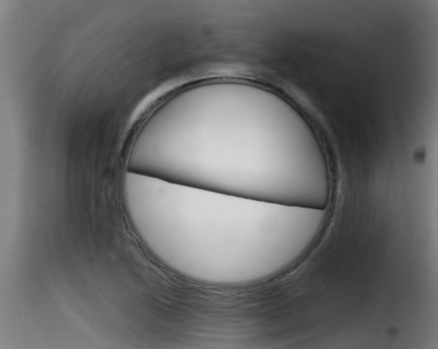 X0000116101222200911230924