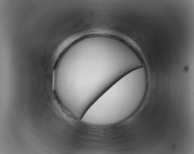 X0000116101223200911230924