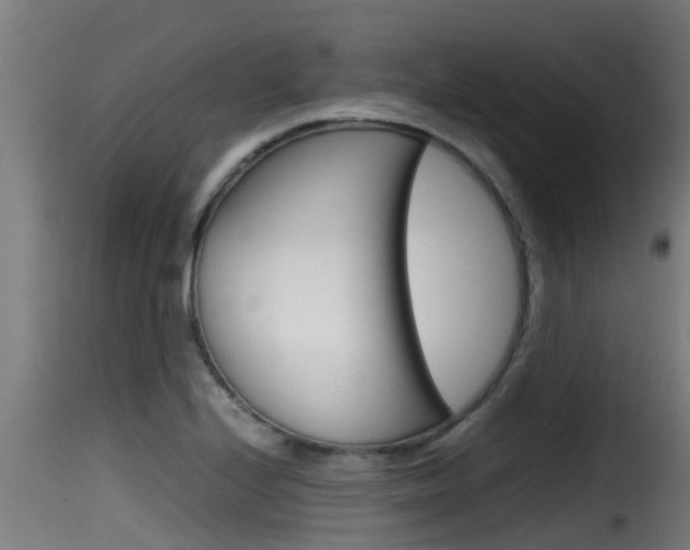 X0000116101224200911230924