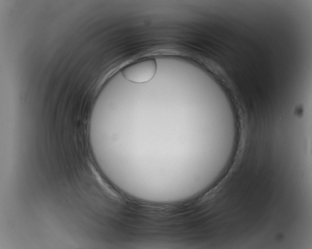 X0000116101225200911230924