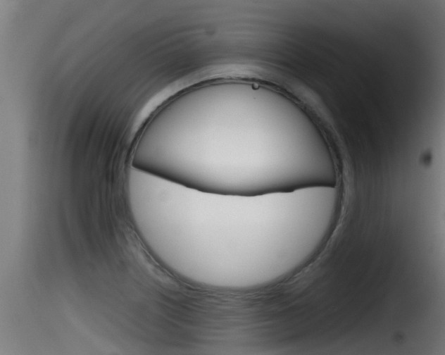 X0000116101226200911230925