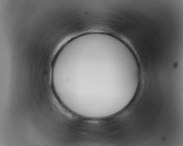 X0000116101227200911230925
