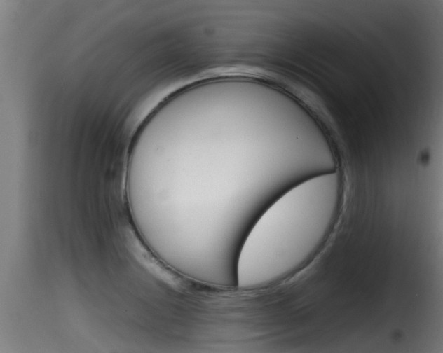 X0000116101228200911230925