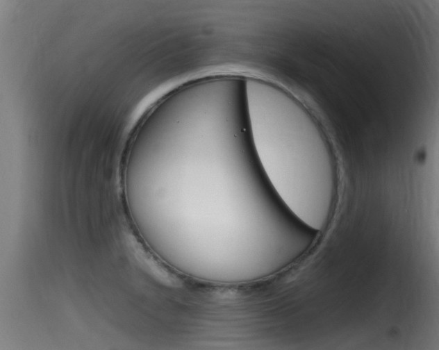 X0000116101230200911230925