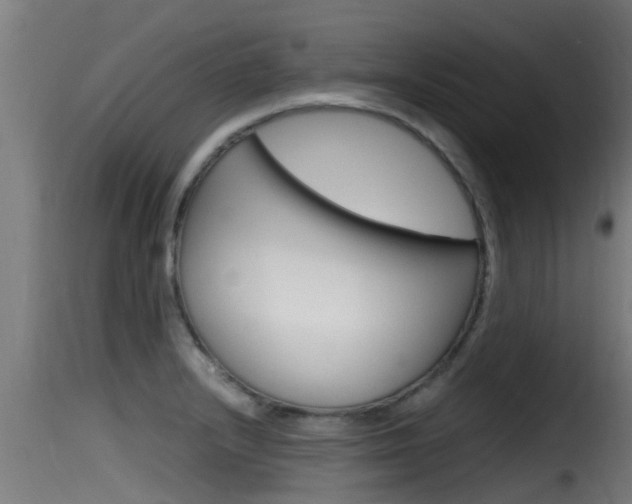 X0000116101232200911230925
