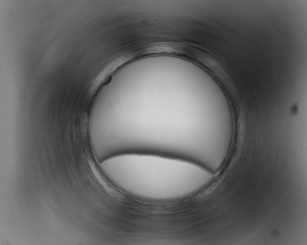 X0000116101233200911230925