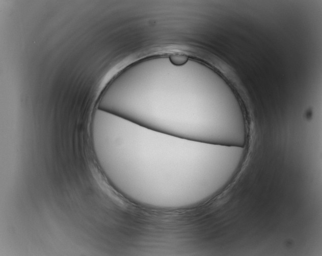 X0000116101234200911230925