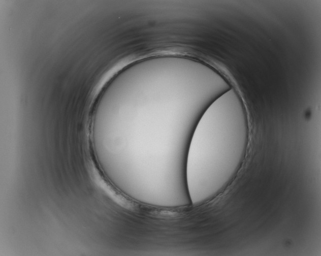 X0000116101235200911230925
