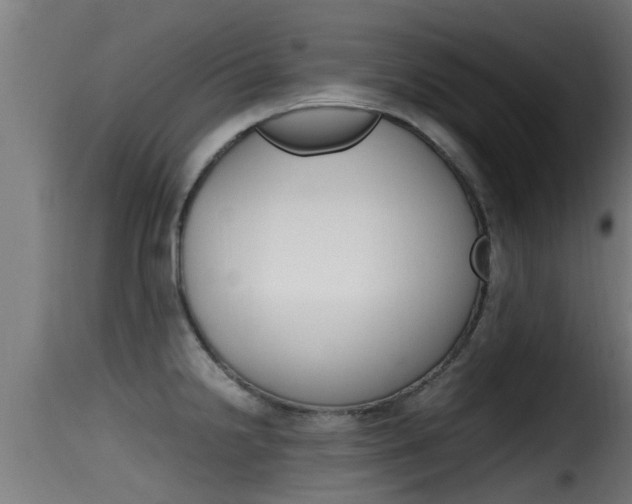 X0000116101238200911230925