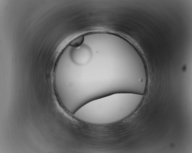 X0000116101239200911230925
