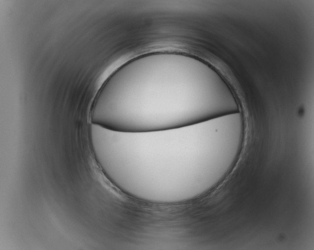 X0000116101242200911230925