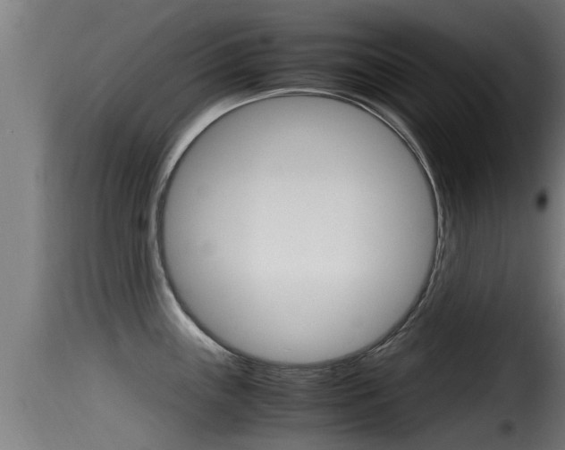 X0000116101243200911230925