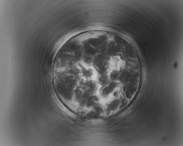 X0000116101244200911230925