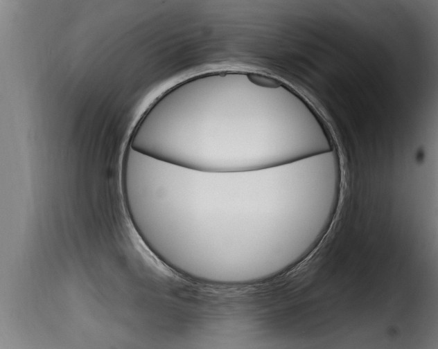 X0000116101246200911230925