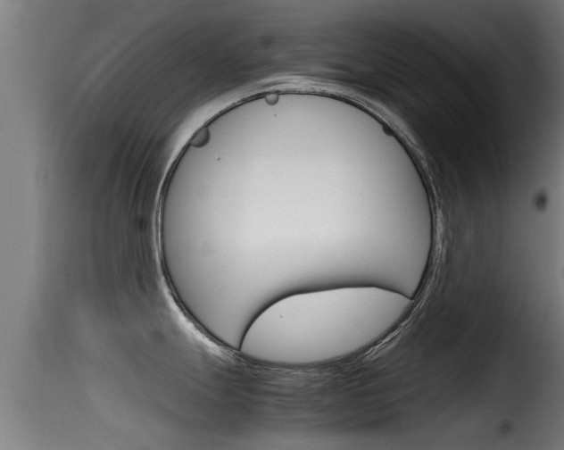 X0000116101247200911230925
