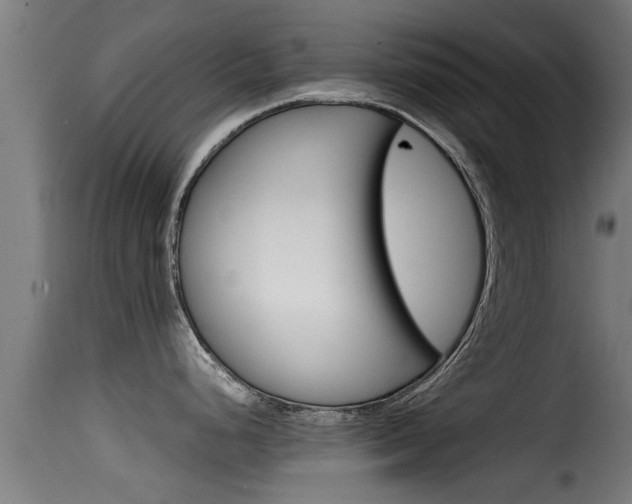 X0000116101248200911230925