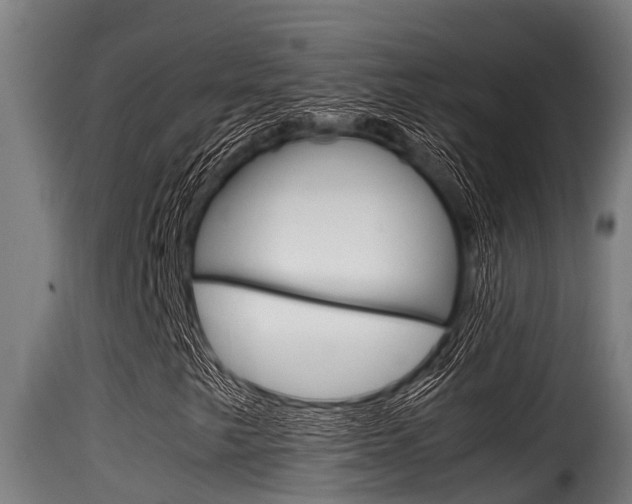 X0000116101249200911230924