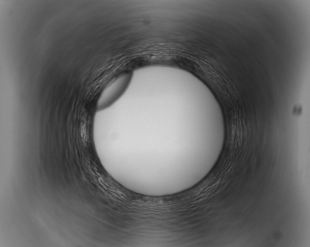 X0000116101250200911230924