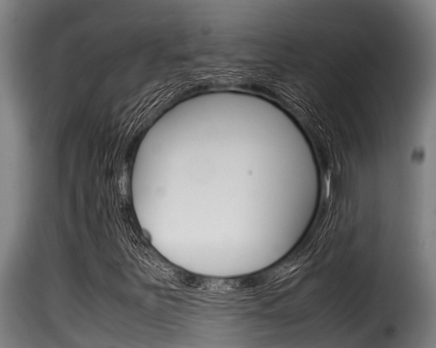 X0000116101251200911230924