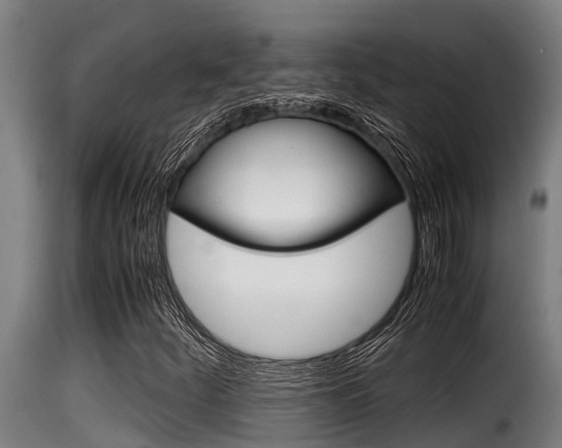X0000116101252200911230924