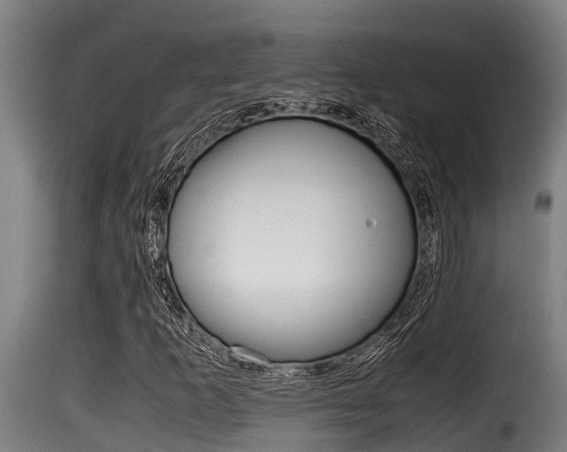 X0000116101253200911230924