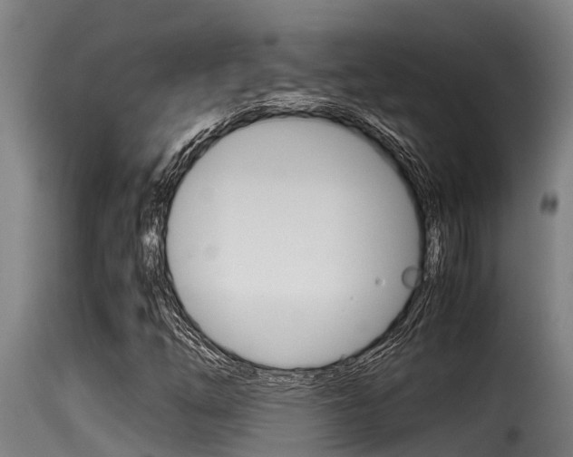 X0000116101254200911230924