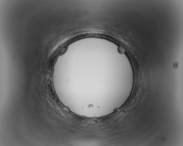 X0000116101255200911230924