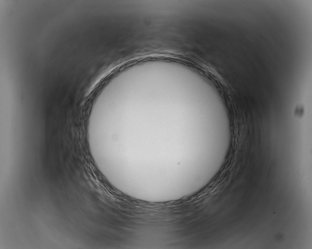 X0000116101256200911230924