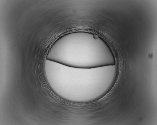 X0000116101257200911230924