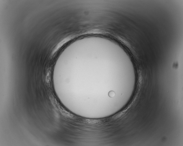 X0000116101258200911230924
