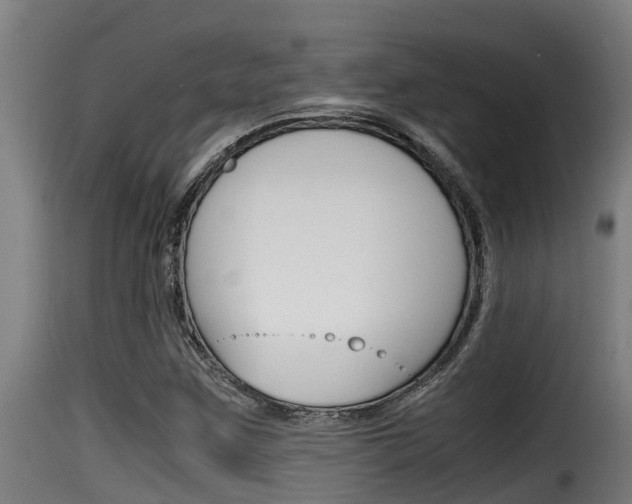 X0000116101259200911230924