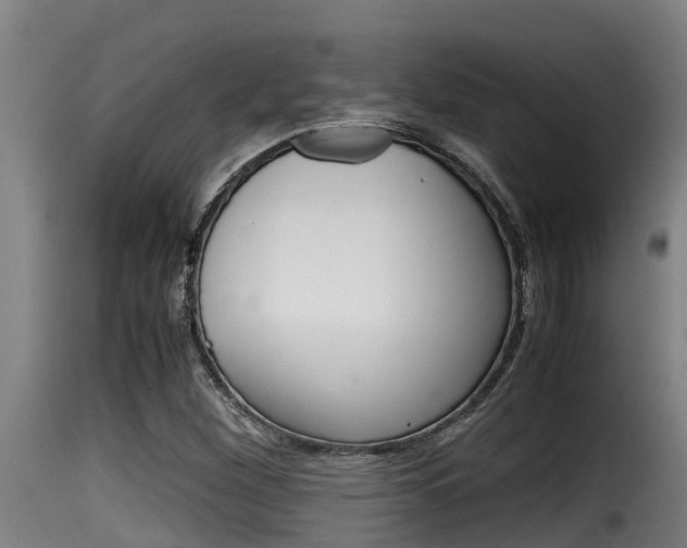 X0000116101260200911230924