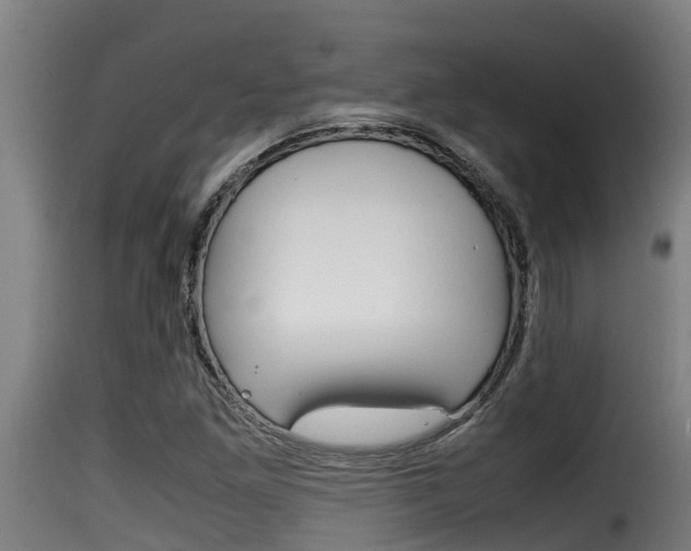 X0000116101261200911230924