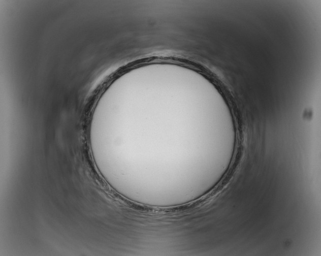 X0000116101263200911230924